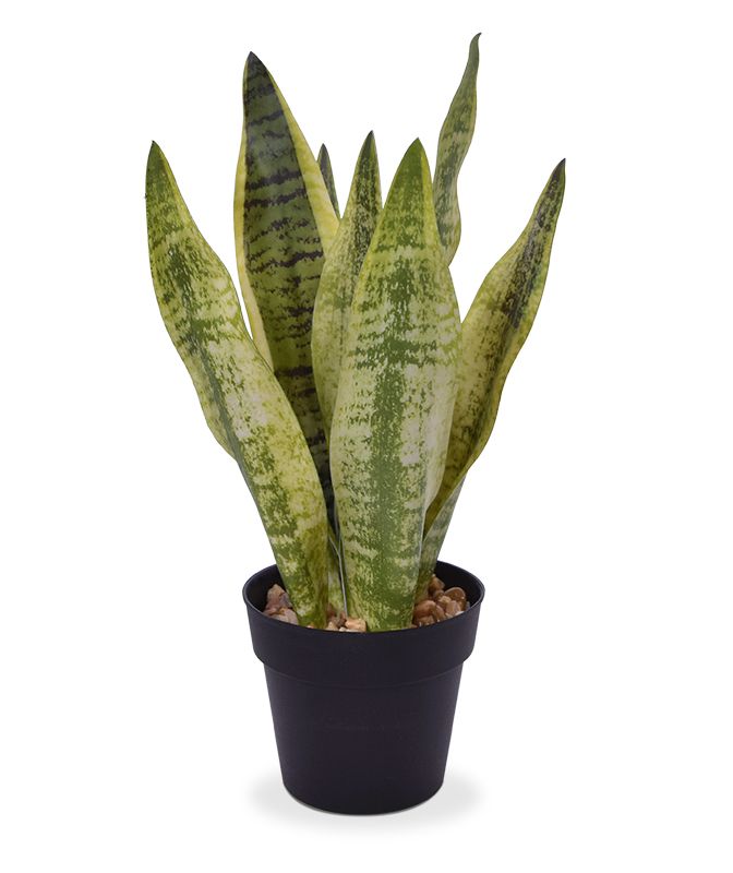 Sanseveria Kunstpflanze 30 cm bunt