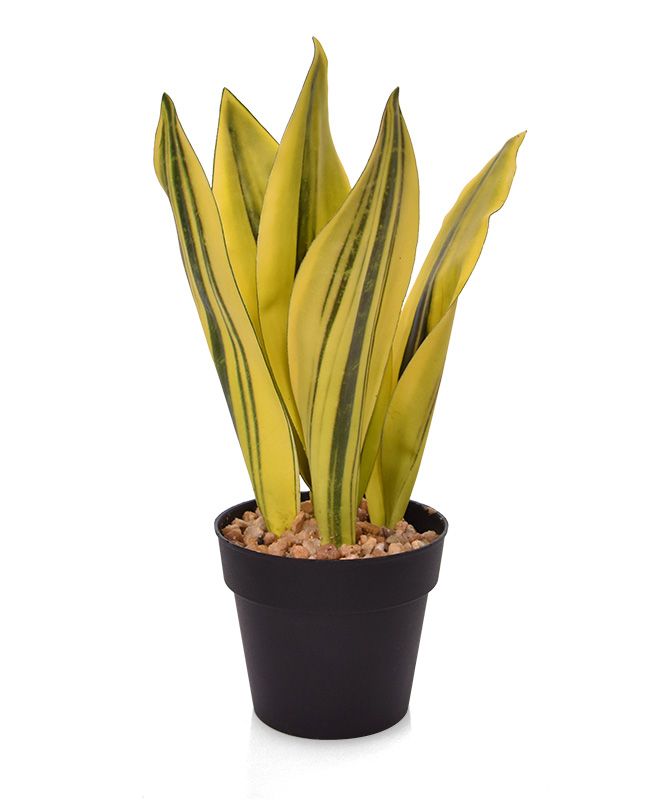 Sanseveria Kunstpflanze 30 cm gelb-grn