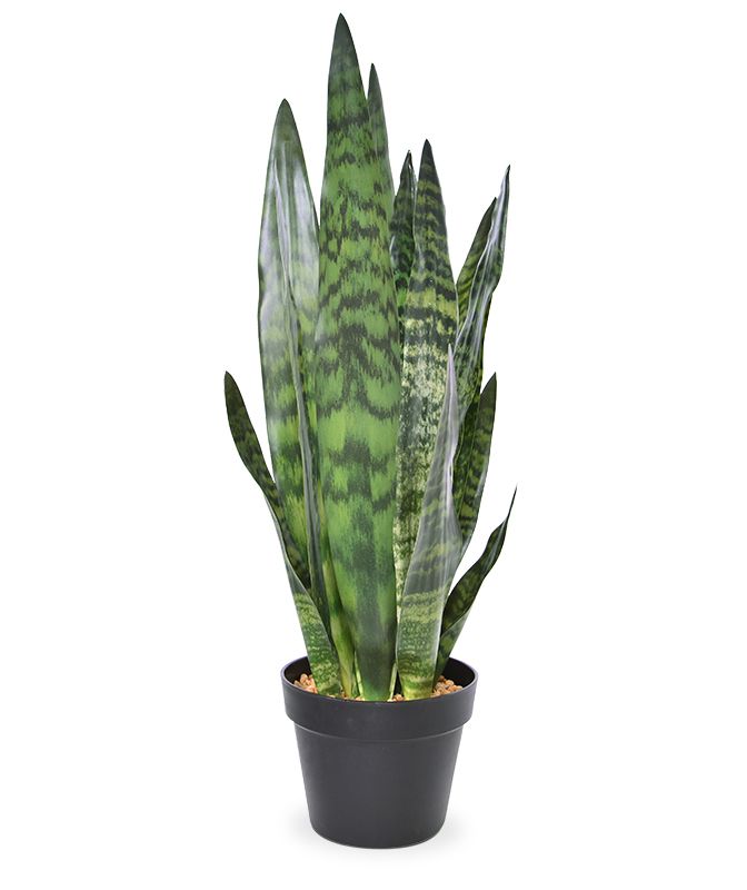 Sanseveria Kunstpflanze 72 cm grn