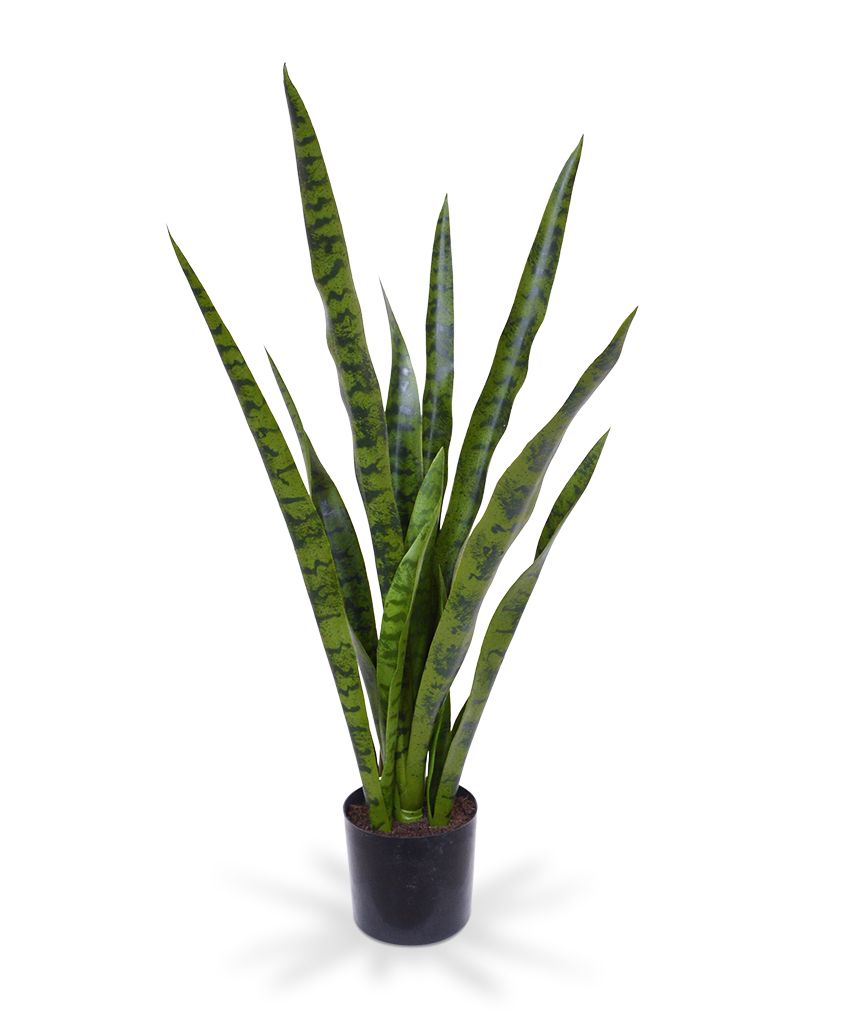 Sanseveria Kunstpflanze (Bogenhanf) 78 cm