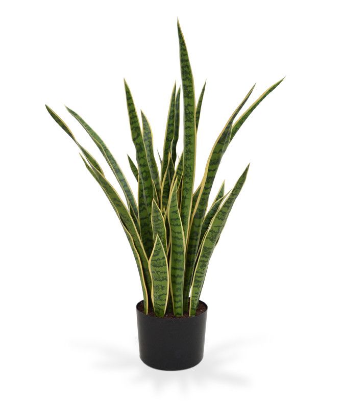 Sansevieria Kunstpflanze XL bunt (Bogenhanf) 100 cm