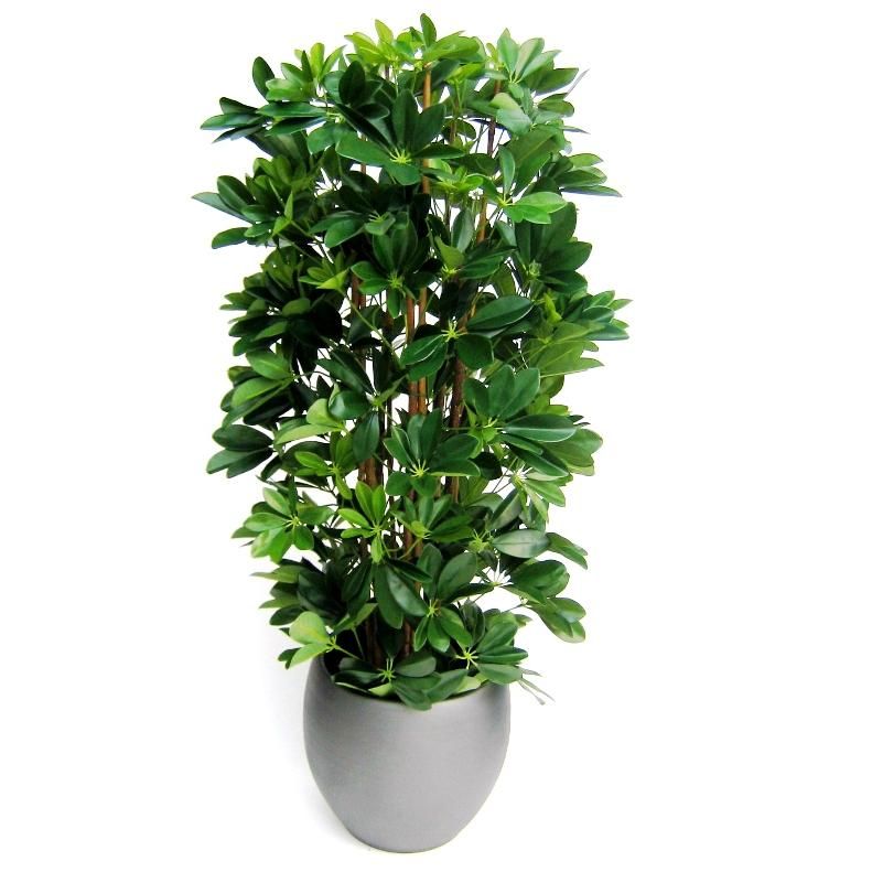 Schefflera Kolom 120cm Kunstbaum