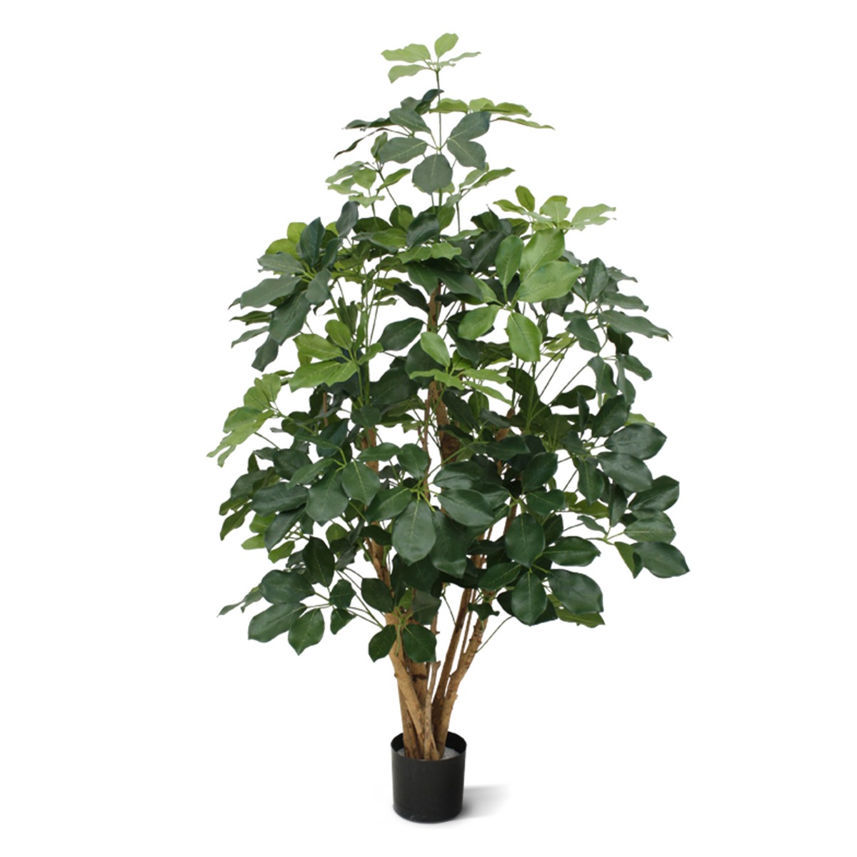 Schefflera Kunstbaum Exotica 120 cm feuerhemmend unter Grne Kunstbume