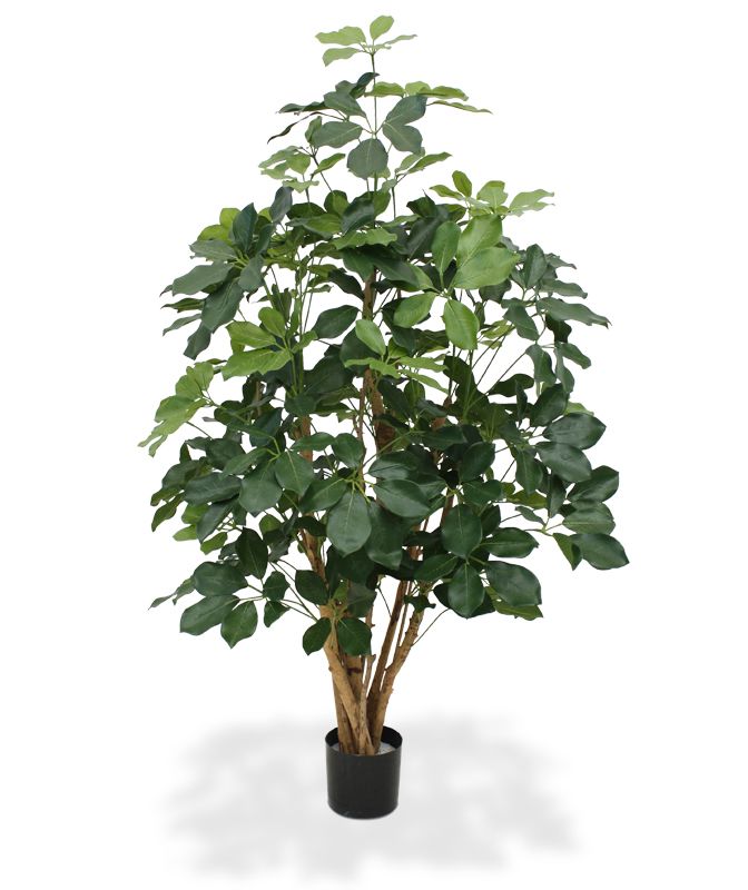 Schefflera Kunstbaum Exotica 120 cm