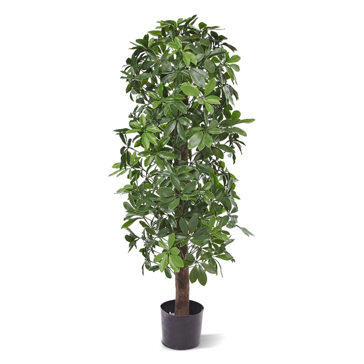 Schefflera Kunstbaum Säule 120 cm UV unter Kunstpflanzen Außenbereich