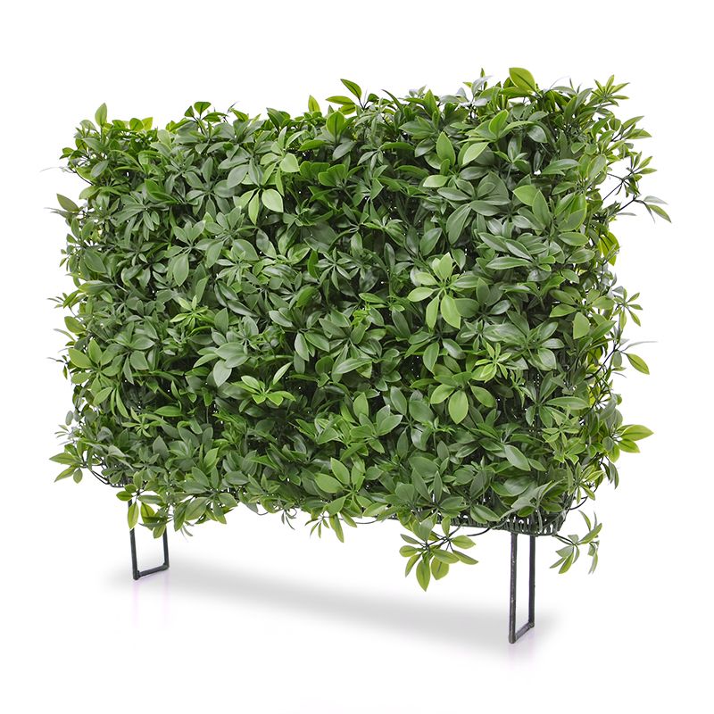 Schefflera Kunsthecke 80x25x56 cm UV