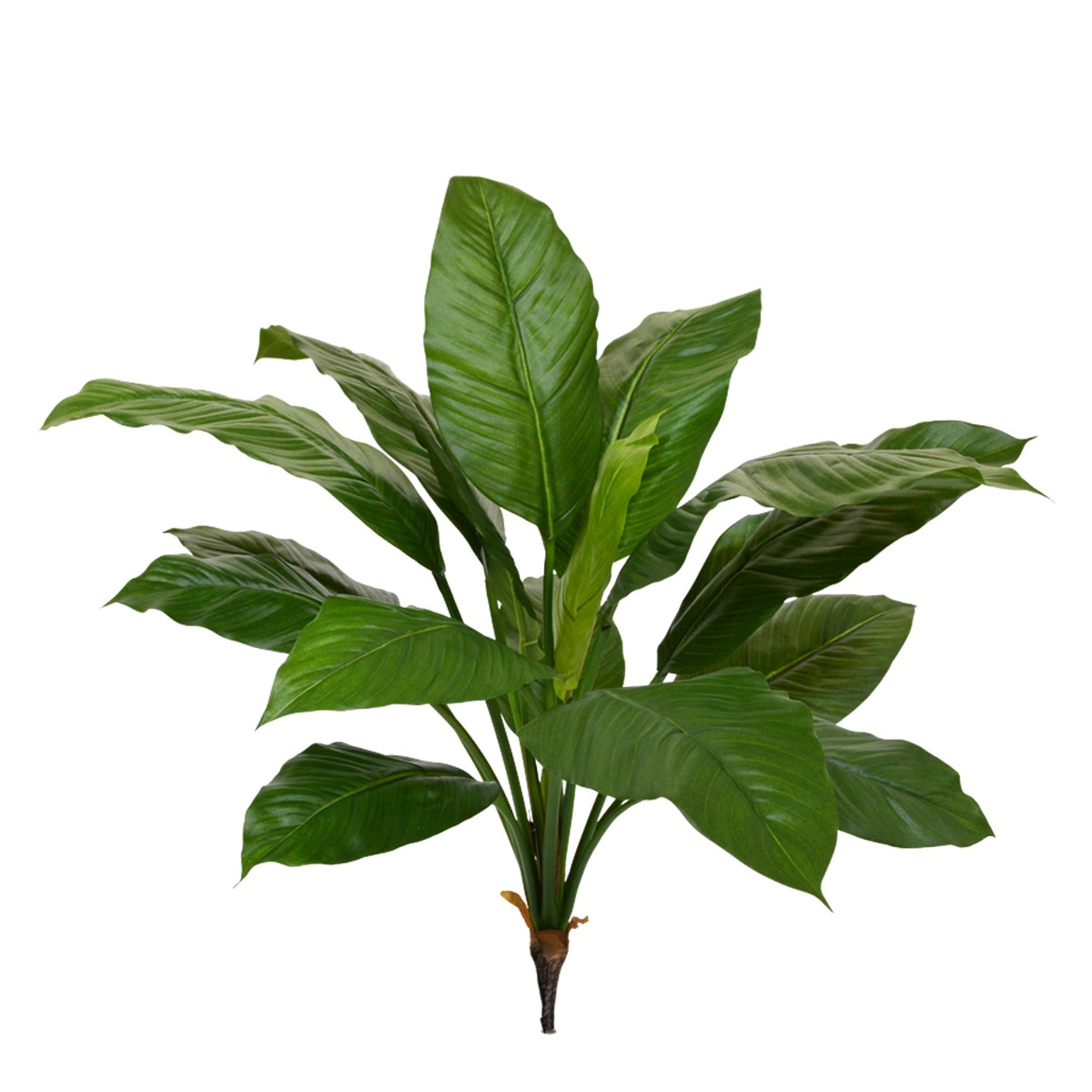 Spathiphyllum King Kunstpflanze Bukett (Einblatt) 80 cm grün unter Grüne Kunstpflanzen