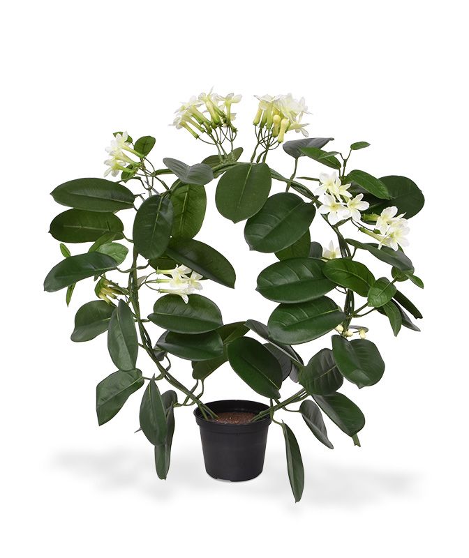 Stephanotis Kunstpflanze 40 cm