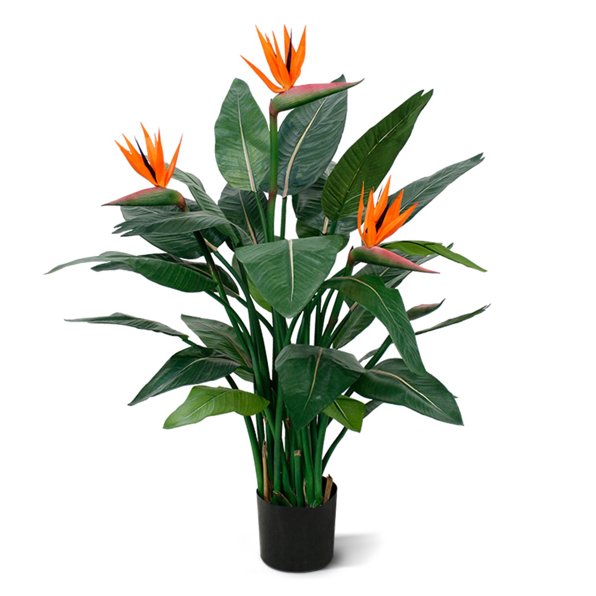 Strelitzia Kunstpflanze Deluxe 115 cm unter Blhende Kunstpflanzen