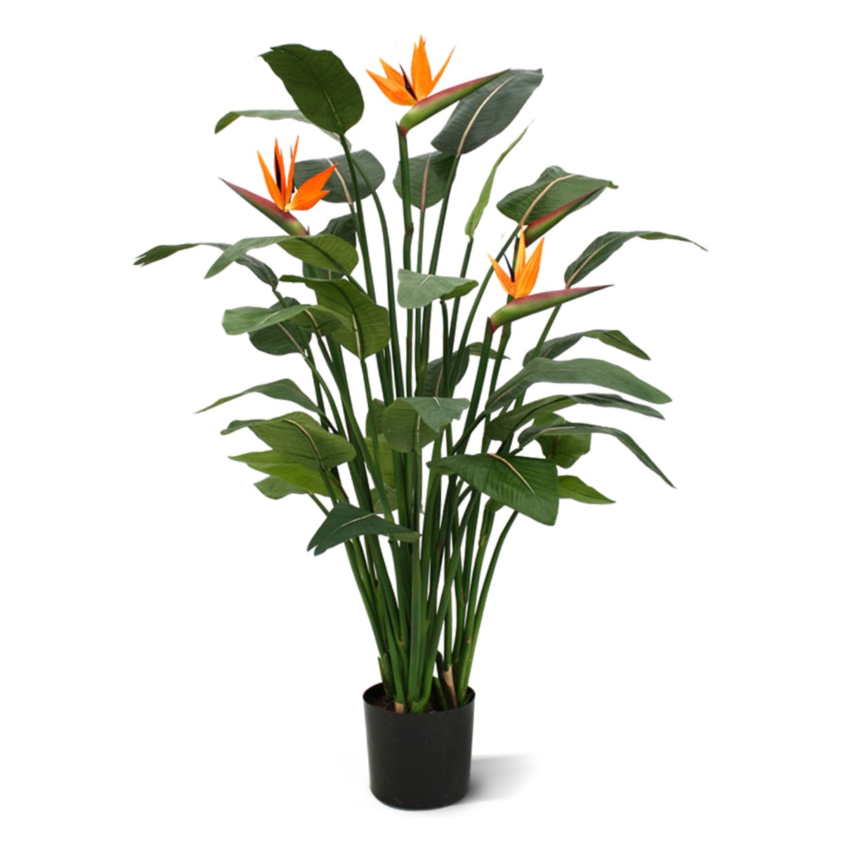 Strelitzia Kunstpflanze Deluxe 145 cm