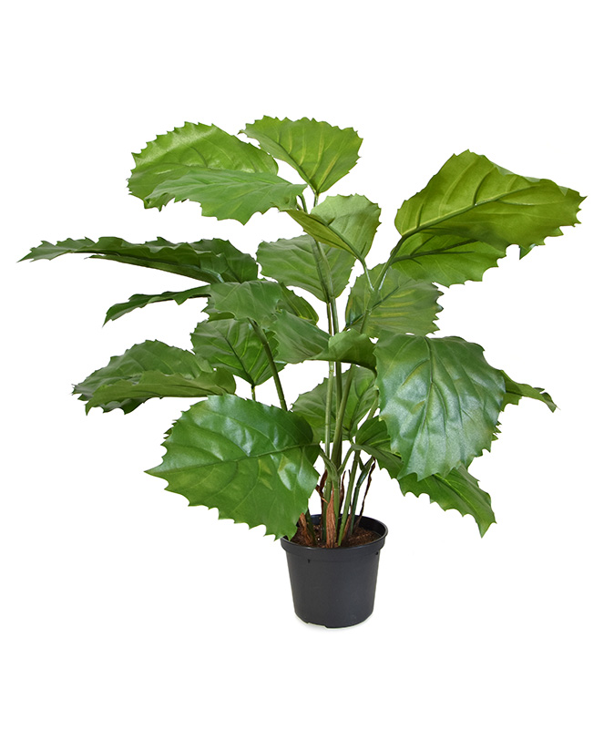 Tetrastigma kunstpflanze 40 cm