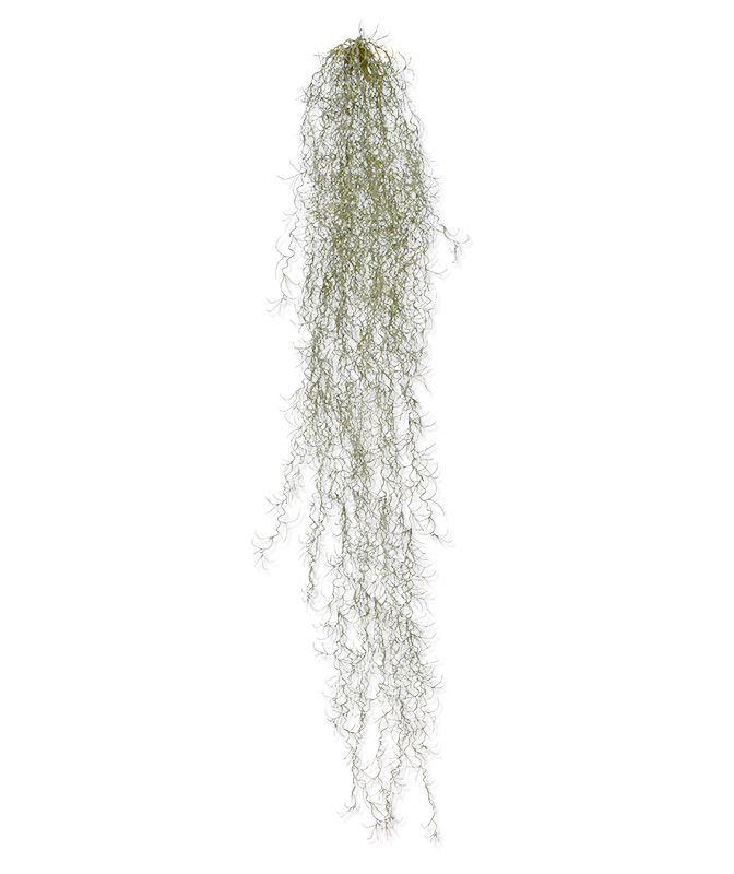 Tillandsia künstliche Hängepflanze deluxe 120 cm