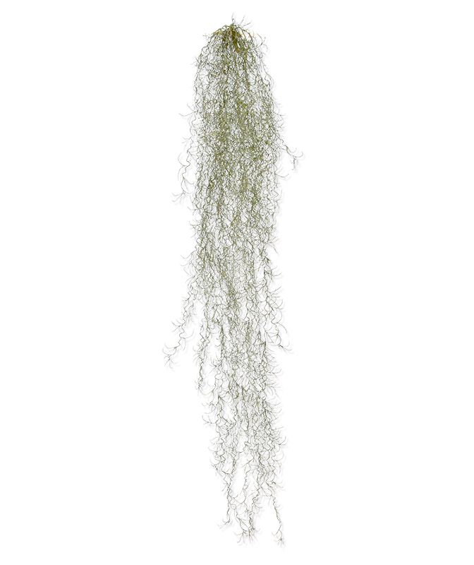 Tillandsia knstliche Hngepflanze deluxe 120 cm