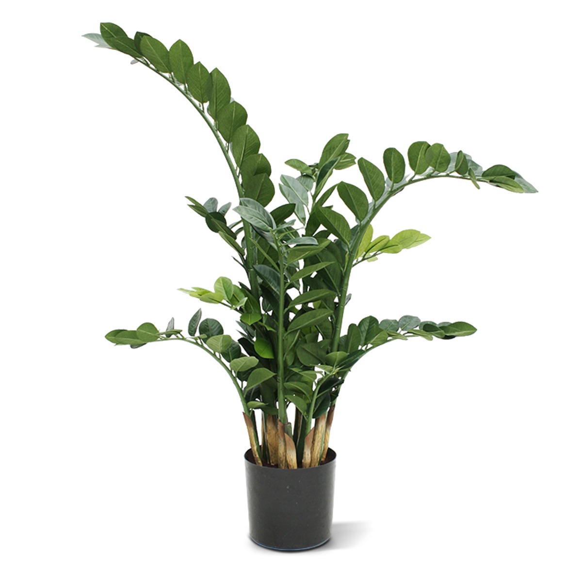 Zamioculcas Kunstpflanze 100 cm unter Grne Kunstpflanzen