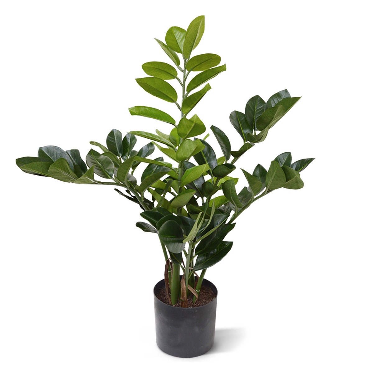 Zamioculcas Kunstpflanze 55 cm