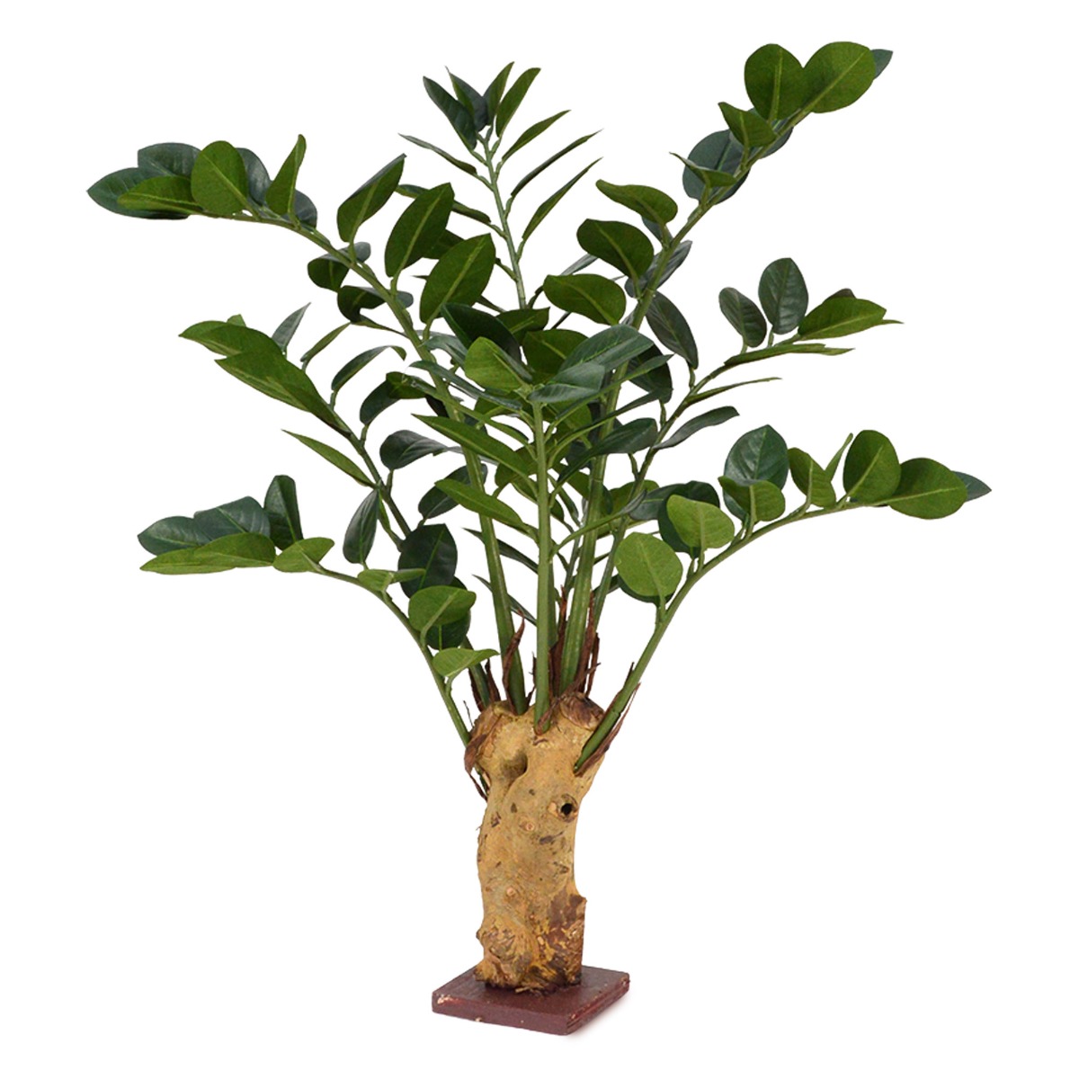 Zamioculcas Kunstpflanze 65 cm auf Sockel unter Grüne Kunstpflanzen