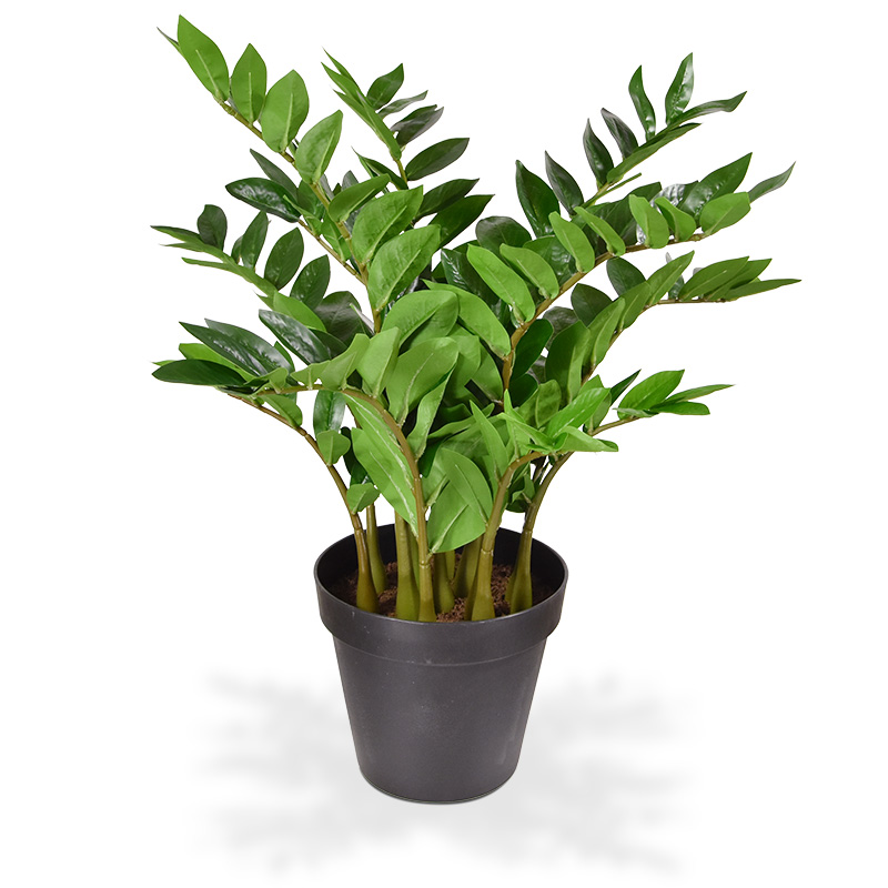Zamioculcas Kunstpflanze 70 cm in Topf unter Grüne Kunstpflanzen